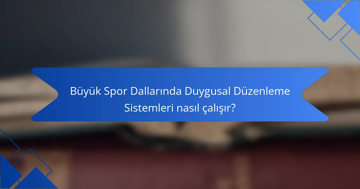 Büyük Spor Dallarında Duygusal Düzenleme Sistemleri nasıl çalışır?