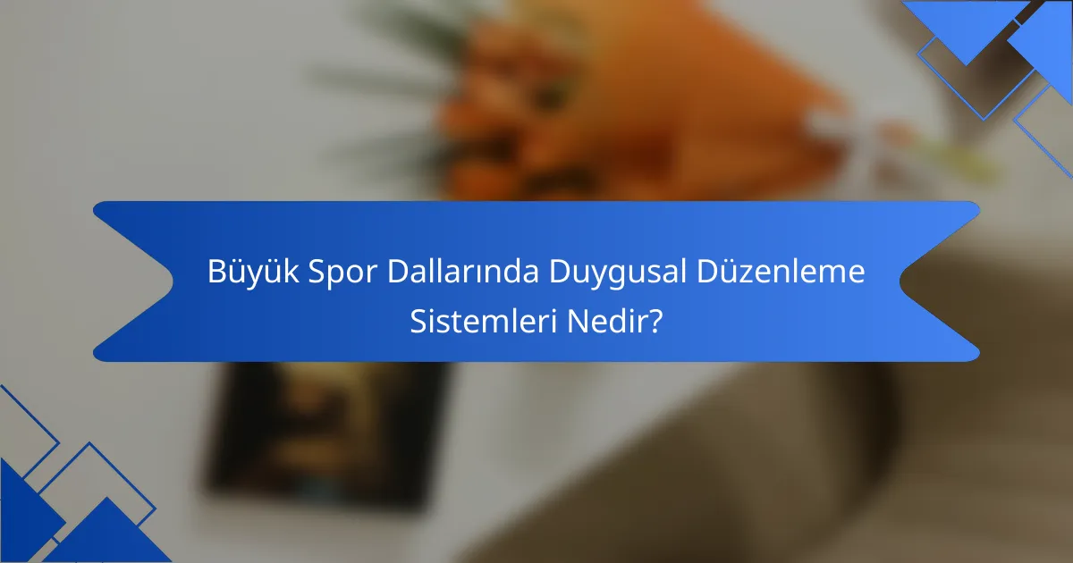 Büyük Spor Dallarında Duygusal Düzenleme Sistemleri Nedir?