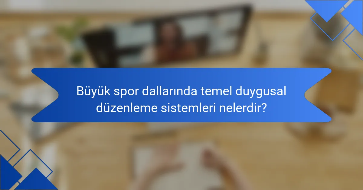 Büyük spor dallarında temel duygusal düzenleme sistemleri nelerdir?