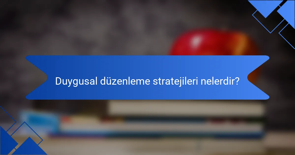 Duygusal düzenleme stratejileri nelerdir?
