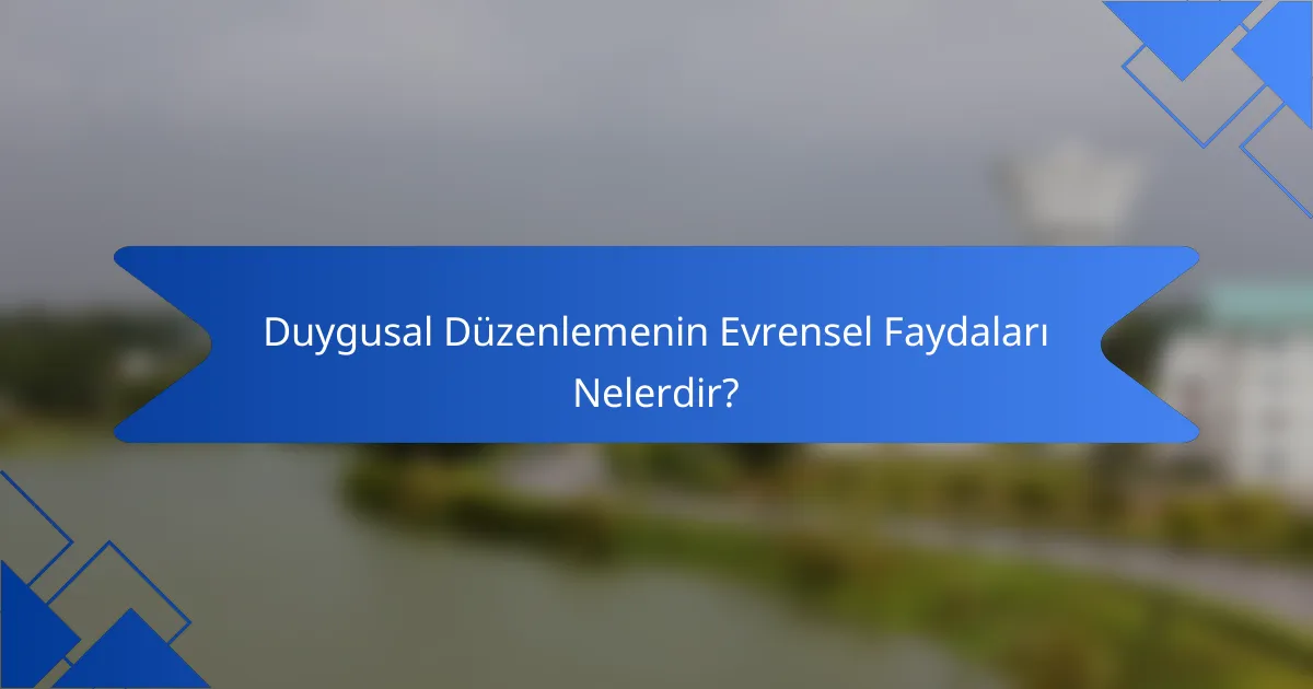 Duygusal Düzenlemenin Evrensel Faydaları Nelerdir?