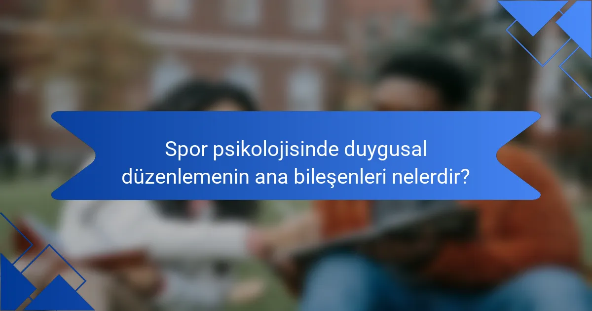 Spor psikolojisinde duygusal düzenlemenin ana bileşenleri nelerdir?