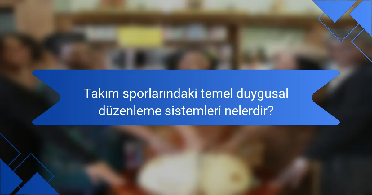 Takım sporlarındaki temel duygusal düzenleme sistemleri nelerdir?